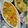 Keya Mandal's cooksnap of when they made পনির নবরত্ন কারি (paneer nabarotno curry recipe in Bengali).