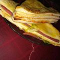Cooksnap dari nila untuk resep Sandwich