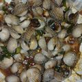 Cooksnap dari Minarni Sutowidjojo untuk resep Kerang Dara Saus Asam Manis