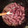 El cooksnap de Alba M Herrero cuando hizo Salchichas encebolladas al vino tinto.