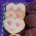 کوک اسنپ 🌸مطبخ بهشتی🌸 بعد از امتحان کردن شیرینی مینیاتوری.