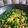 Cooksnap dari Dapur Bidadari ^Shilah^ untuk resep Tumis Kangkung Jagung