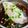 Billy Lo 的 清蒸鱈魚電鍋版 cooksnap