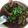 รูป Cooksnap ของ Nattakan Kungking เมื่อเขาทำ ต้มซุปเปอร์ขาไก่