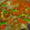 Abhilasha Singh का कुकस्नैप जब उन्होंने मलका की दाल (Malka ki dal recipe in hindi) बनाया था।