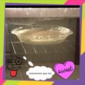 El cooksnap de Angie Cb cuando hizo BROWNIES DE MOKA.