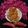 Sudipa Gope's cooksnap of when they made Shakarkand Gulab Jamun (Vrat Special).