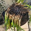 El cooksnap de Irene-Guirao cuando hizo Calçot.