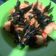 Cooksnap dari Putri Tamala untuk resep Udang Goreng Tepung Daun Kari