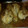 El cooksnap de cma92zgz cuando hizo Alitas de pollo al horno con miel y sésamo.