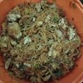 Cooksnap dari Didit Indraningsih untuk resep Bihun Goreng Telur Simpel