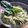 El cooksnap de Lara Aragon " El SARAO DE LARA" cuando hizo Pesto vegano de aguacate y pipas de calabaza.