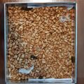 Cooksnap dari Dwi Muliatin untuk resep Kacang goreng super renyah