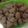 Cooksnap dari Fatme Habsyi untuk resep Bakso Sapi #FestivalResepAsia #Indonesia