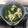 Cooksnap của Saralone khi họ làm theo món Canh rau ngót nấu trứng