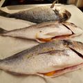 Cooksnap από Δέσποινα Καρπούζα στη συνταγή Τσιπούρες στο φούρνο !!!🐟🍋🐟🍋