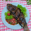 Cooksnap dari A.S. untuk resep Nila bakar madu teflon