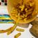 Cooksnap dari Rini Dwi Astuti untuk resep Potato Cheese Stick