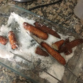 El cooksnap de Valentina cuando hizo Churros rellenos de dulce de leche.