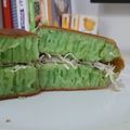 Cooksnap dari kiky utami untuk resep Martabak Manis Teflon
