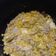 El cooksnap de Oli cuando hizo Pollo con rajas y elote.