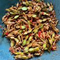 Cooksnap dari mailmoniq untuk resep Balado Teri Pete Kacamata