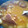 El cooksnap de DelicIANNcook cuando hizo Alubias con jamón, chorizo y forro de cabeza.