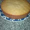 El cooksnap de Sofía Escobar cuando hizo Bizcochuelo fácil en olla essen.