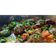Vandana Tank Parmar's cooksnap of when they made કાઠીયાવાડી ઊંધિયું (Kathiyawadi Undhiyu Recipe In Gujarati).