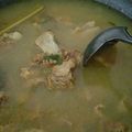 Cooksnap dari Tanara Yunara untuk resep Soto daging madura