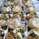 Cooksnap dari Dapur Koe untuk resep Gado gado