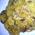 sarajones's cooksnap of when they made Baked Sweet potato chips.