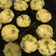 Cooksnap dari Gabriella Calvaristhy Alvionitha untuk resep Perkedel Kentang