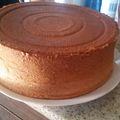 El cooksnap de Maria Laura Acosta cuando hizo Bizcochuelo de naranja! bien esponjoso.