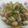 Cooksnap dari moon untuk resep Kerang dara saus padang DEBM