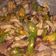 Cooksnap dari annisha ONY untuk resep Oseng Babat Cabe Ijo