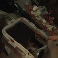 Cooksnap dari Audy Yuniar untuk resep Dessert Box Kekinian