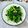 Joy的小廚房料理 的 蒜炒小松菜 cooksnap