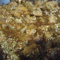 Cooksnap dari Dewanti untuk resep Chiken Teriyaki Ala Yume