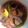 Ahasena Khondekar - Dalia's cooksnap of when they made বাটা মাছের ঝোল(Bata macher jhol recipe in bengali).