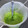 El cooksnap de Elisabeth Lorita Gandia cuando hizo Salsa pesto.