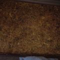 Cooksnap από ina huanita στη συνταγή Κολοκυθόπιτα με κίτρινη κολοκύθα