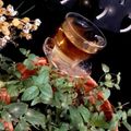 صورة من 🍓💞مطبخ ام ندى اماني🍓💞، شاركها بعد تجربة وصفة مشروب اليانسون ⭐