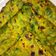 Neeta kamble का कुकस्नैप जब उन्होंने मेथी के पराठे (methi ke parathe recipe in Hindi) बनाया था।