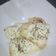 Cooksnap dari Bunda Aliyahfiddin untuk resep Dori parsley leleh (simple cooking)