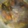 Cooksnap dari Mora untuk resep Semur Asin Ikan Nila