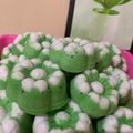 Cooksnap dari renita untuk resep Kue putu ayu