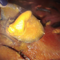 El cooksnap de DelicIANNcook cuando hizo Mejillones en salsa de pimentón.