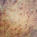 Cooksnap από Βαγγελης Λεμονιδης στη συνταγή Παστίτσιο υπέροχο