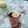 𝒳𝓇𝓊𝓈𝑜𝓊𝓁𝒶 𝒦𝑜𝓃𝓉𝑜𝓅𝑜𝓊𝓁𝑜𝓊's cooksnap of when they made Orange, lemon, ginger and rooibos tea.